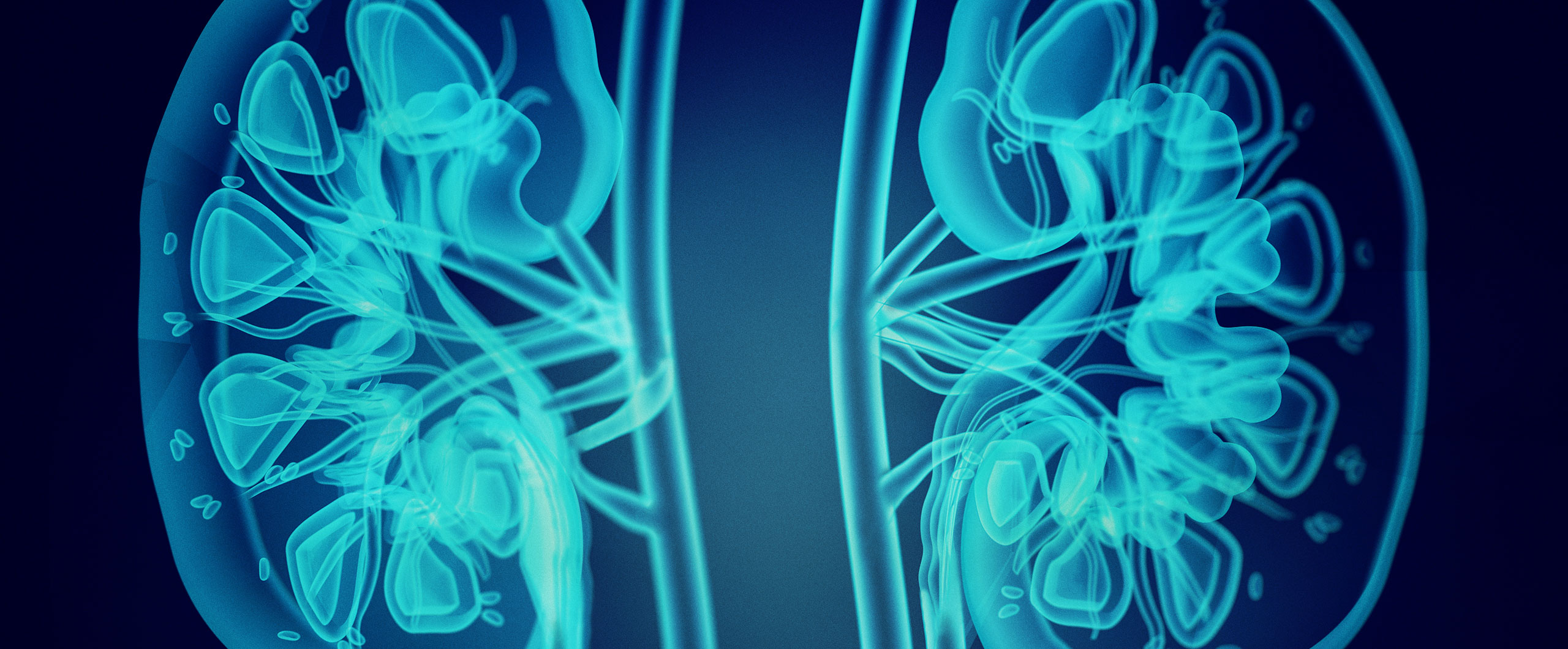 figure-2-from-hyperkalemia-and-acute-kidney-injury-with-spironolactone